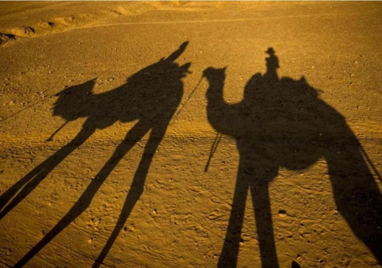 Hotel Oasis Haveli Jaisalmer (Adults Only) 外观 照片